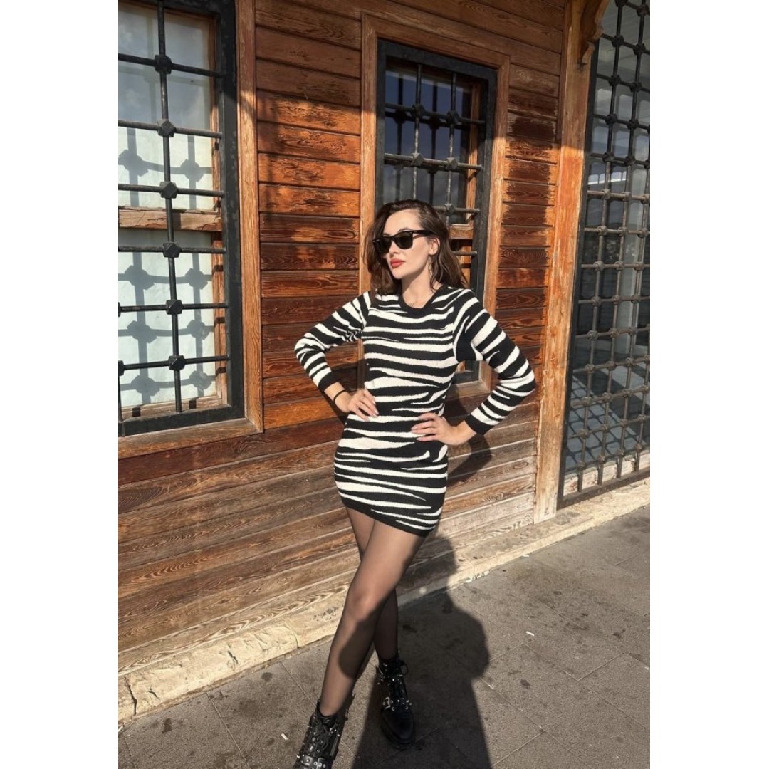 Kadın Uzun Kollu Siyah Beyaz Zebra Desen Triko Elbise 134362 Kadın Uzun Kollu Siyah Beyaz Zebra Desen Triko Elbise 134362